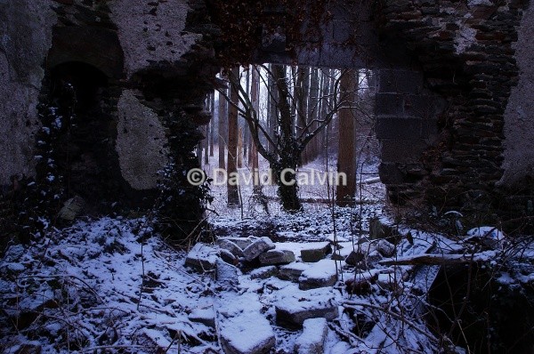 Woodland Ruin - Winter