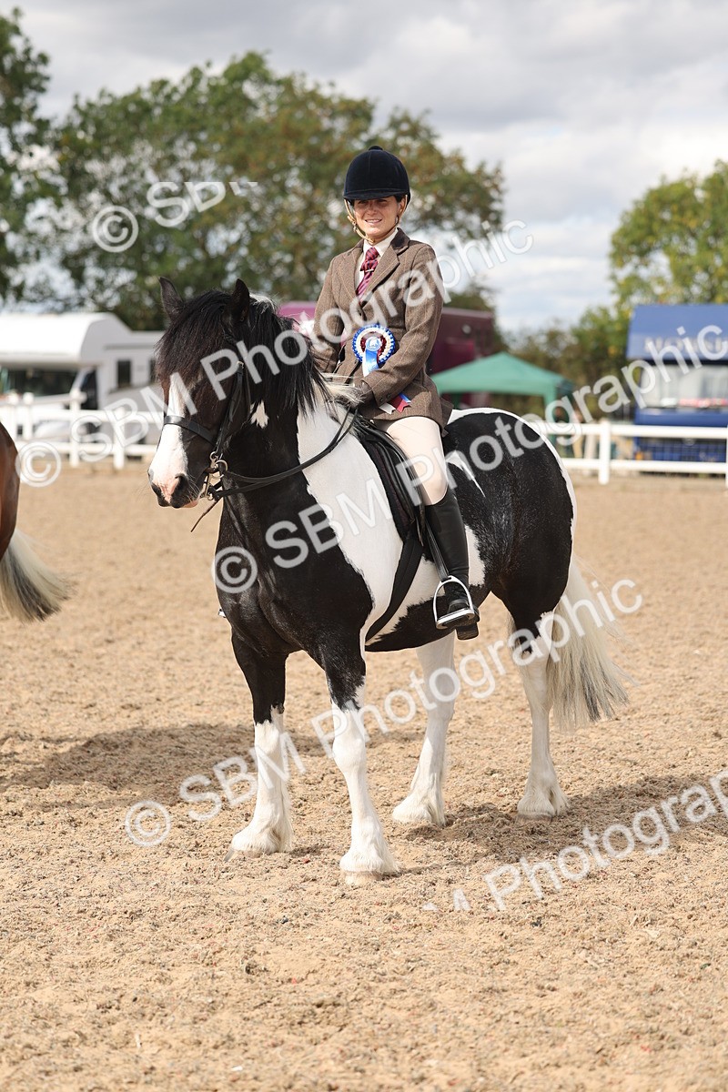 SBM_14687 - Class 307 - Ridden Coloured Pony