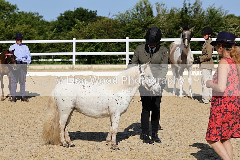 1X9A0682 - Class 3: Youngstock 1, 2, 3 year old not to exceed 153cm