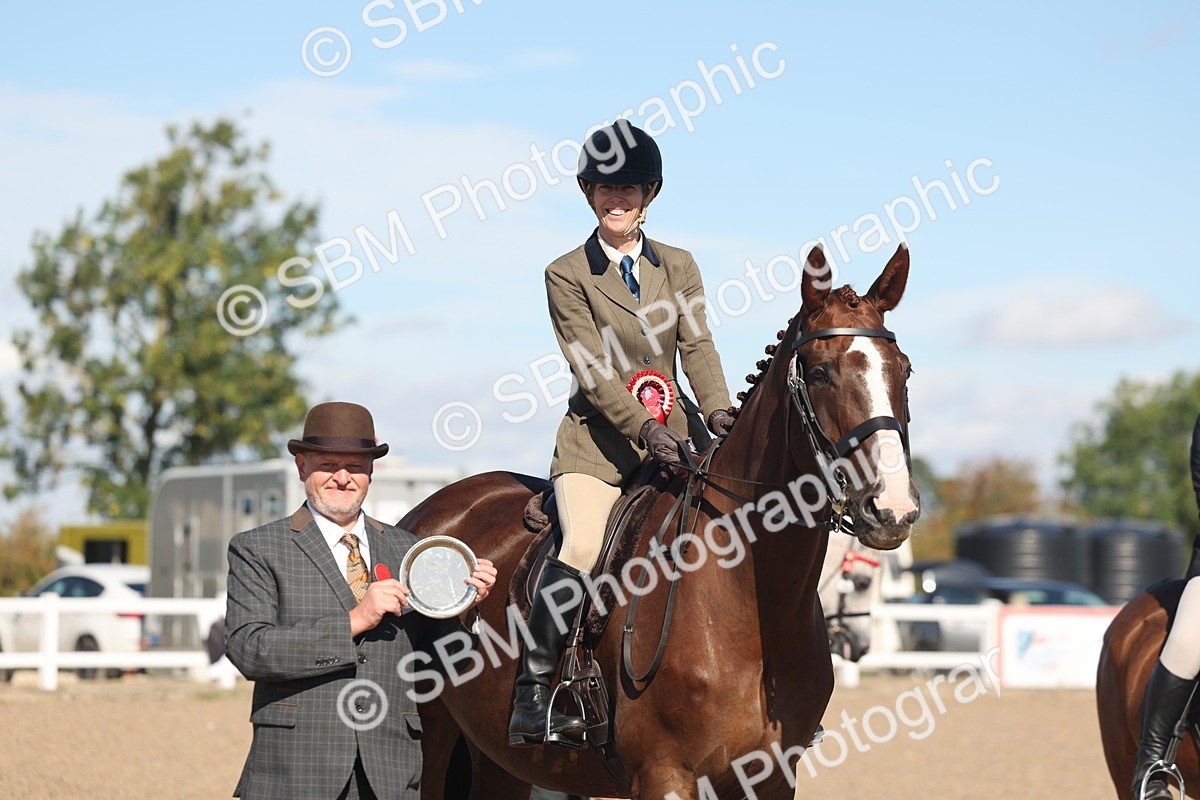 SBM_13105 - Class 305 - Ridden Foreign Breed Pure Bred