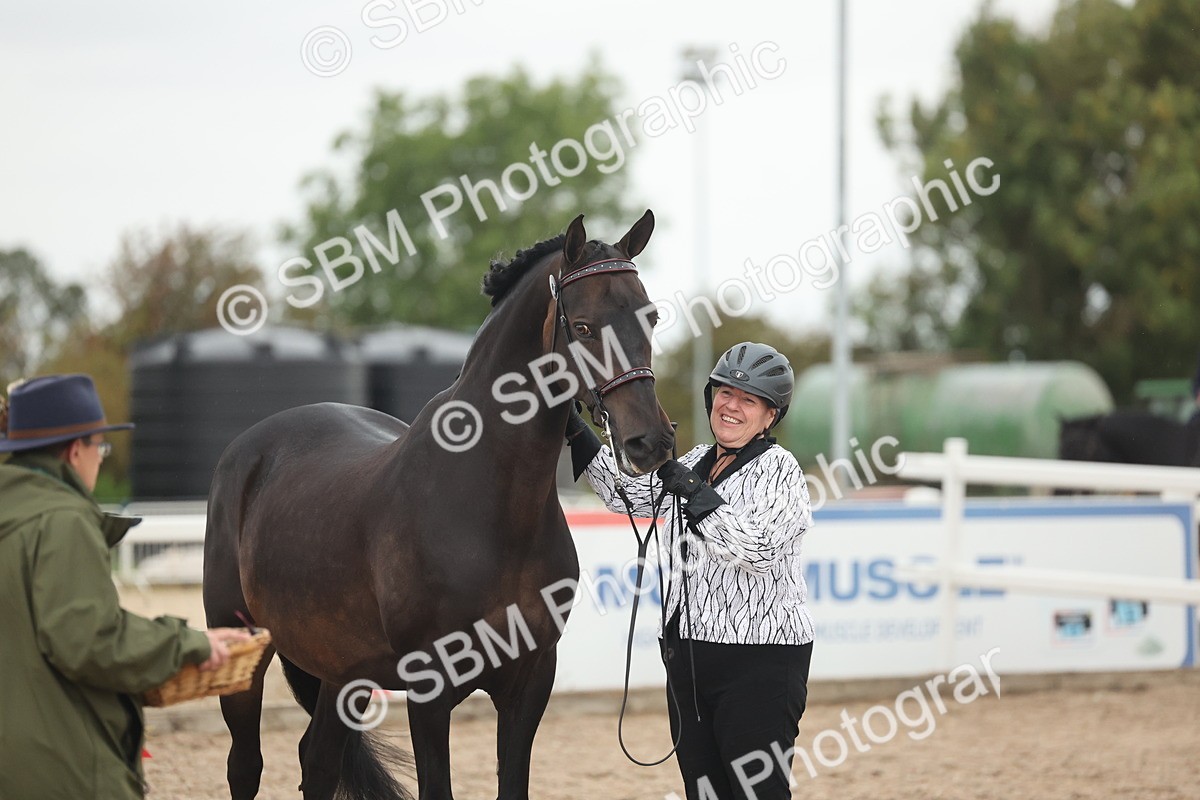 SBM_19402 - Class 317 - IH Pure Bred Horse-Pony