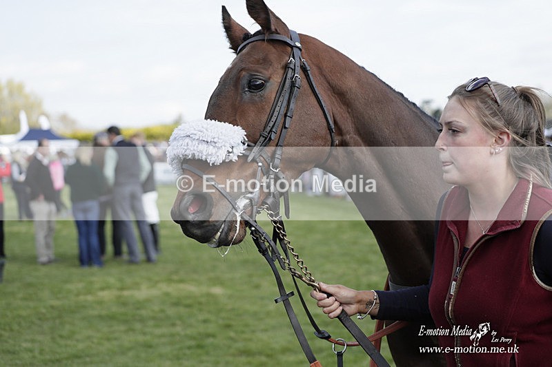 PtP 080423 459 - Dingley Races The Woodland Pytchley Hunt PtP 08/04/23