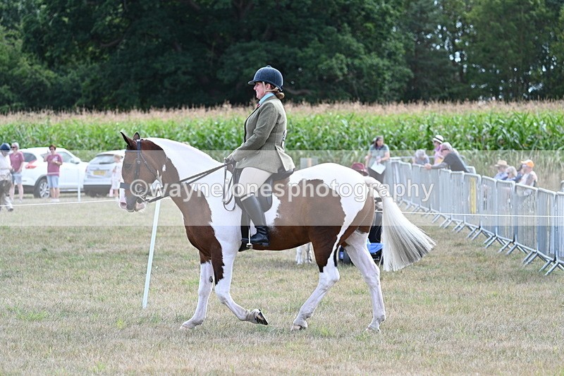 WJ7_7005 - Class 14 Ridden Coloured