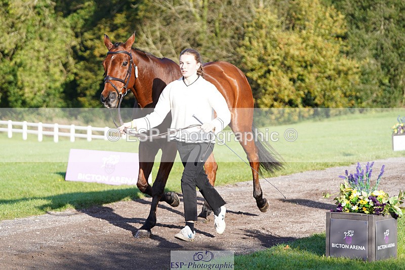 241026-101516-11719 - 011-Carla.Williamson-GOLDMAN