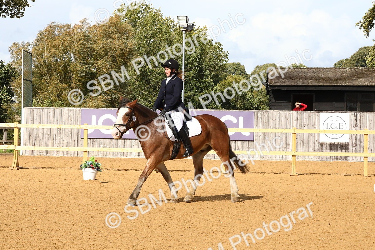 SBM_23610 - D5 - Small Tour Championshop Intro 2