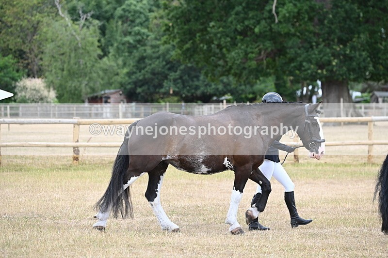 WJ6_7848 - Class 10 Coloured in Hand