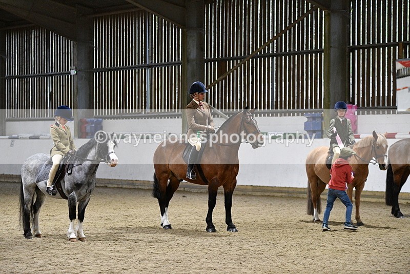 WJ5_8726 - Class 14 Novice Ridden/Rider