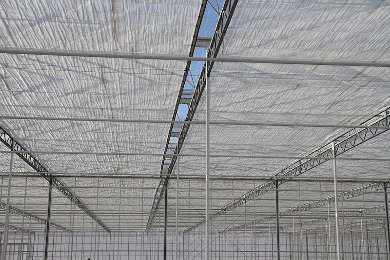 IMG_4549 - Manmade lines