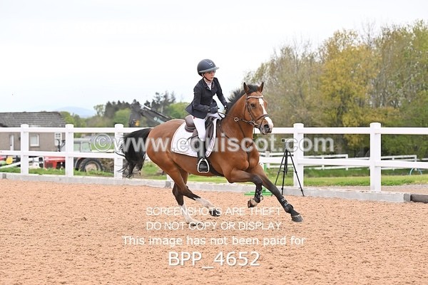 BPP_4652 - CLASS 20 SUN British Novice/90cms Open