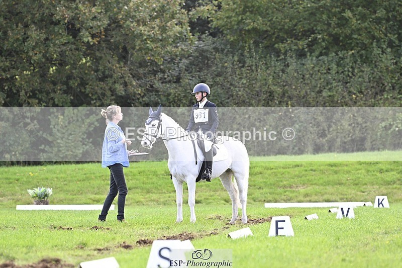 241025-155019-09931 - 381-William.Falango-JUST.BE.JACK