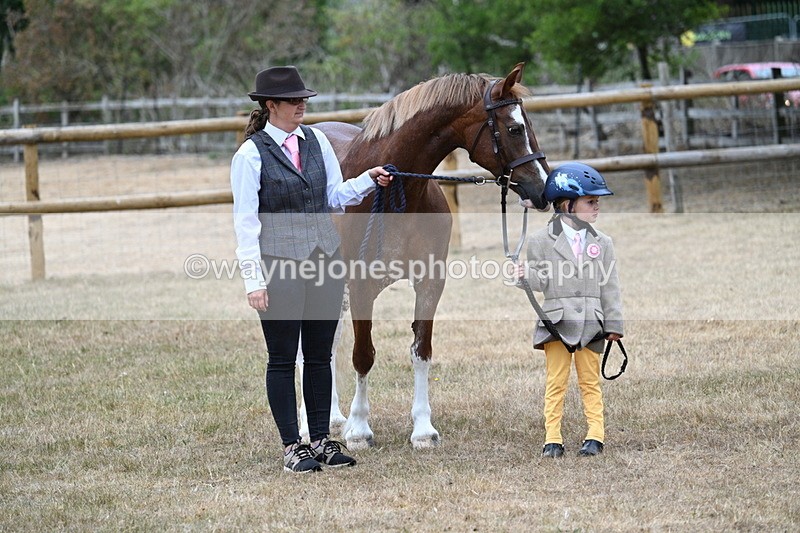 WJ7_8086 - Class 4 Prettiest Mare up to 14.2hh