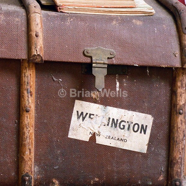 Trunk Detail - 'Mauleys Farm'