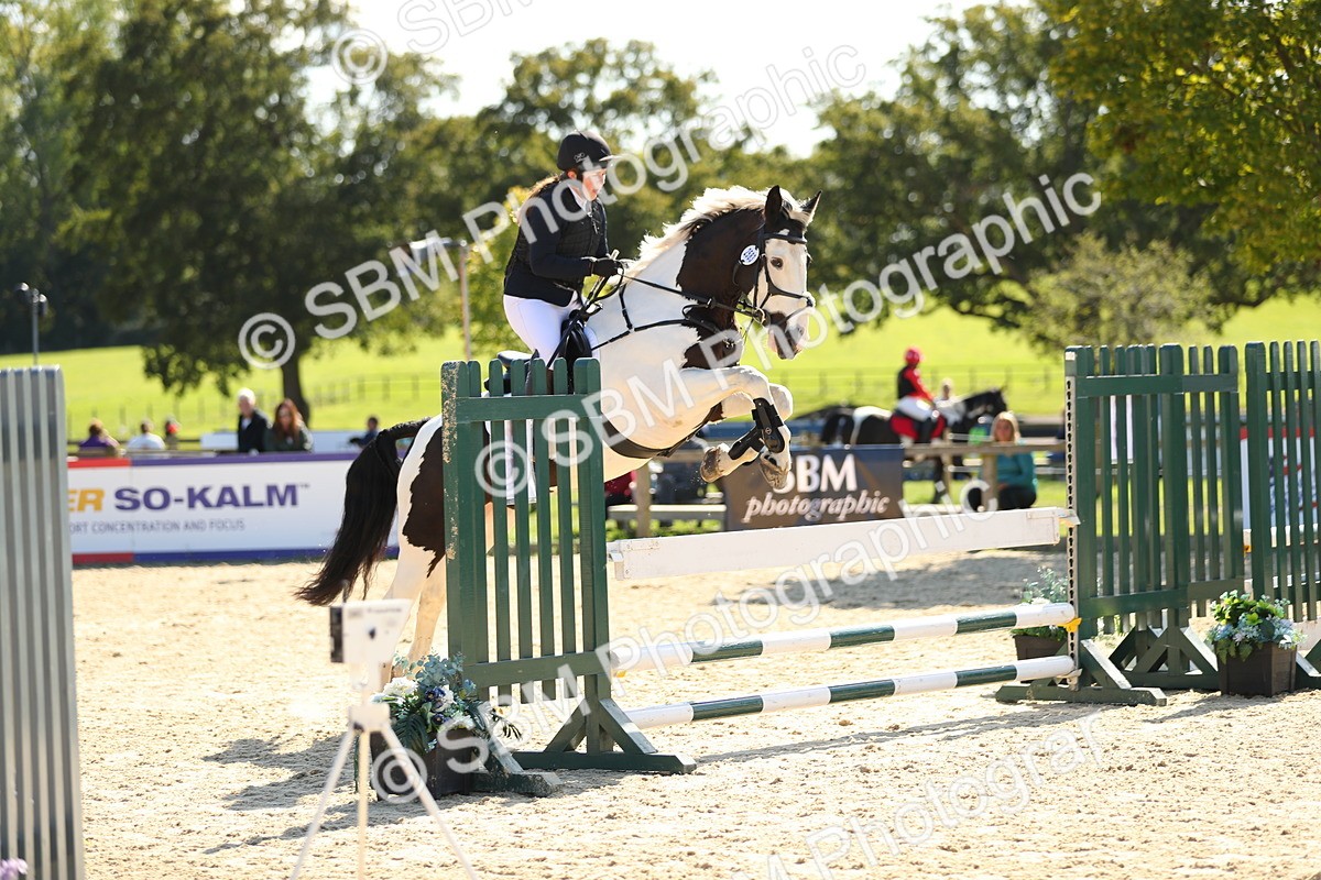 SBM_23975 - J45 - Accumulator 70 80cm