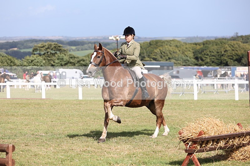 JPP_2515 - Class 20: Working Hunter 70cm