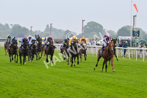 150524-Race 1-Crystal Delight-3553 - Race 1 2.15pm Sky Bet Race To The Ebor Jorvik Handicap