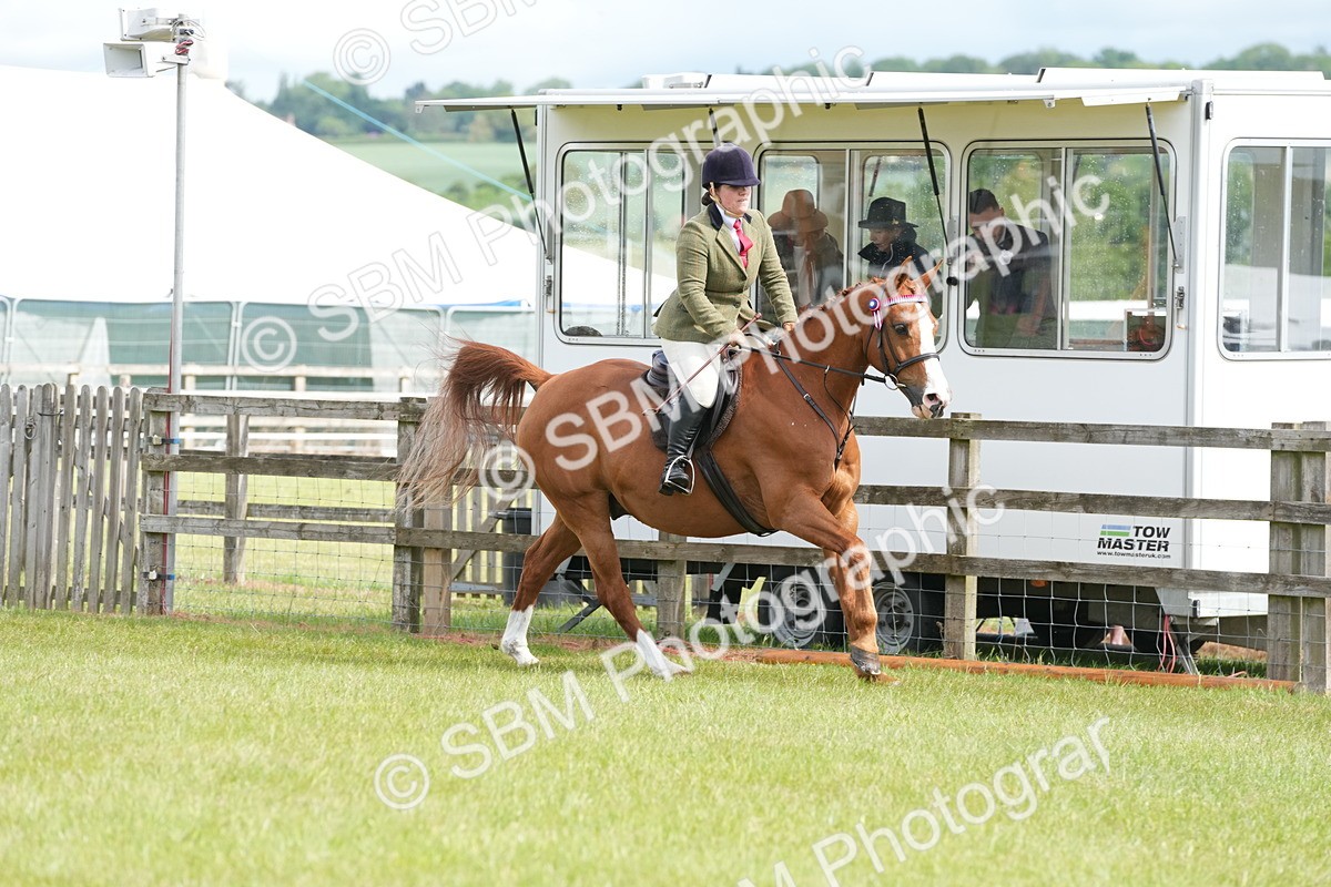 SBM_12928 - Class 99 - RIHS SEIB Working Show Horse