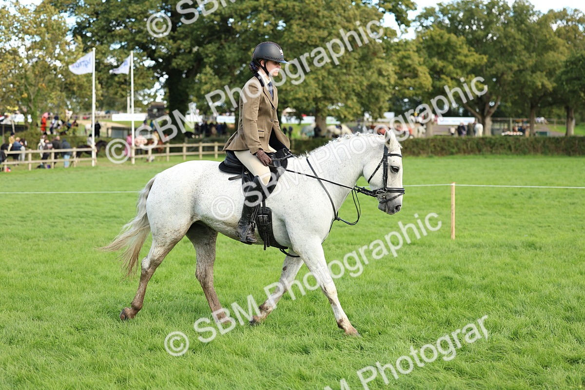 SBM_45526 - S33 - Working Hunter Pony