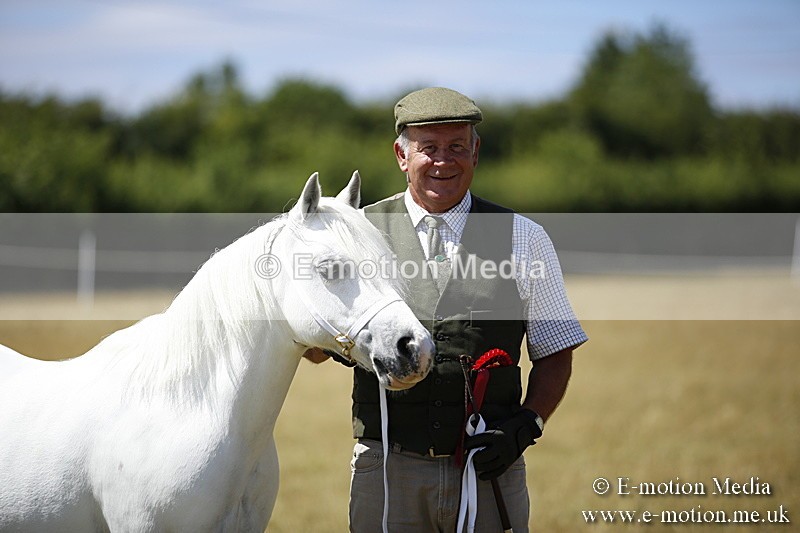 _C7A0179 - In Hand Championship BVRC Show 2018