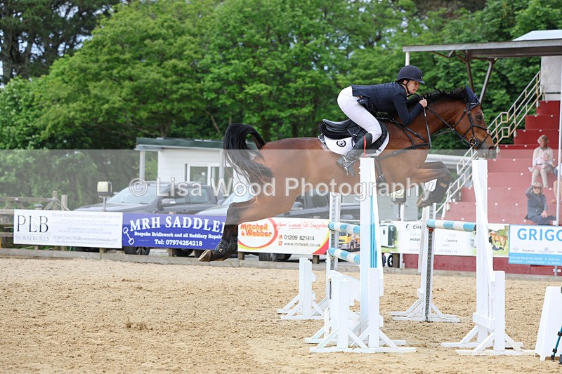 3E7A7628 - Class 8: Senior Foxhunter/1.20 open