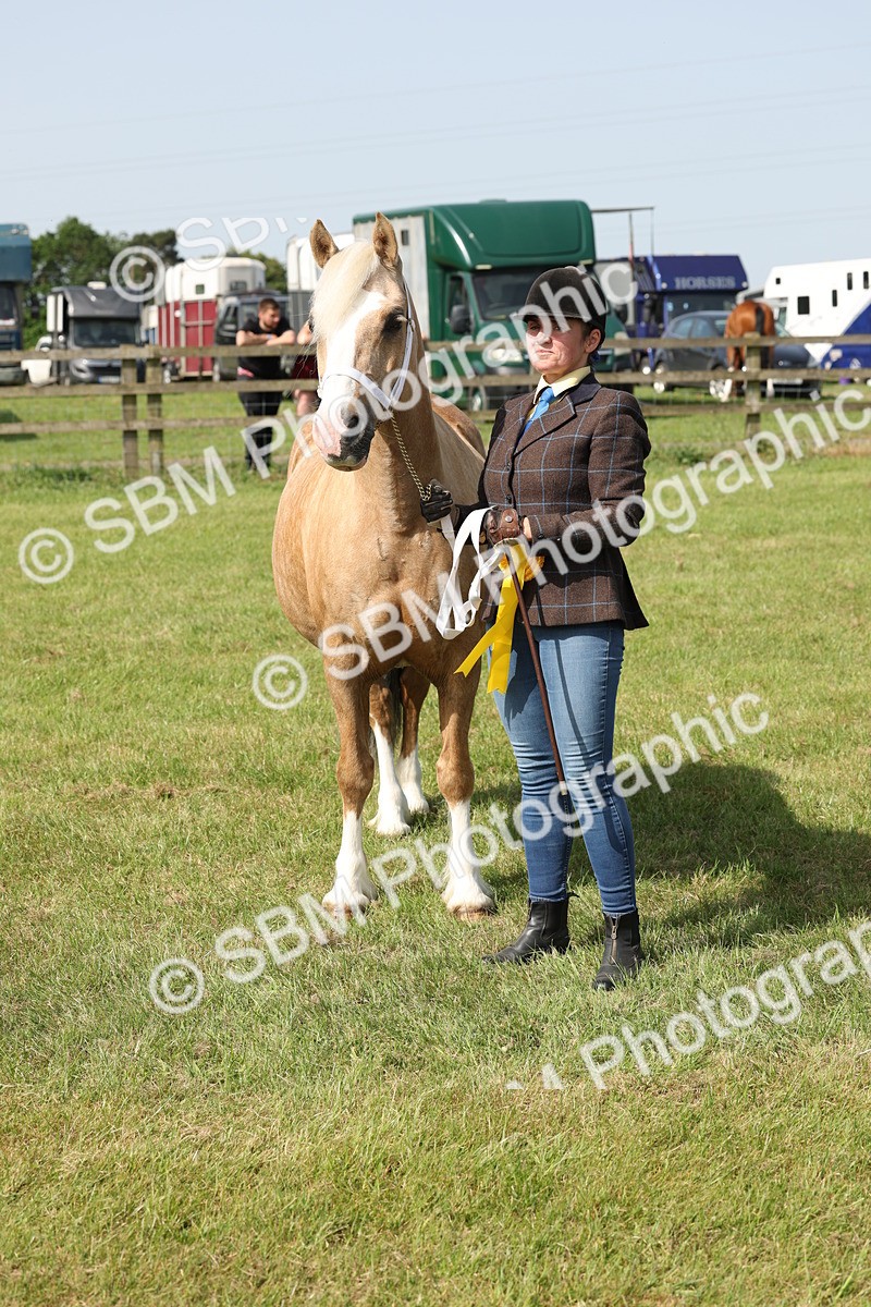 SBM_02164 - Class 6-13 - Mountatin and Moorland In Hand Welsh Breeds
