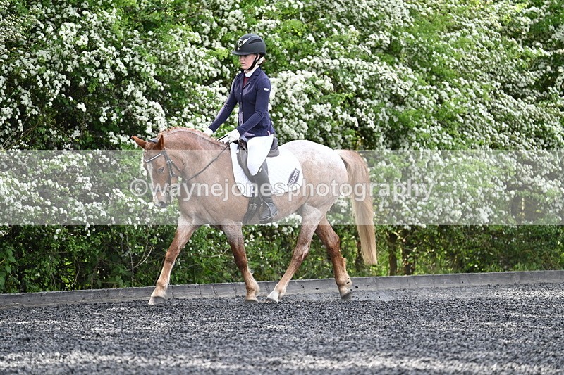 WJ7_8090 - Time 10:11 to 10:27