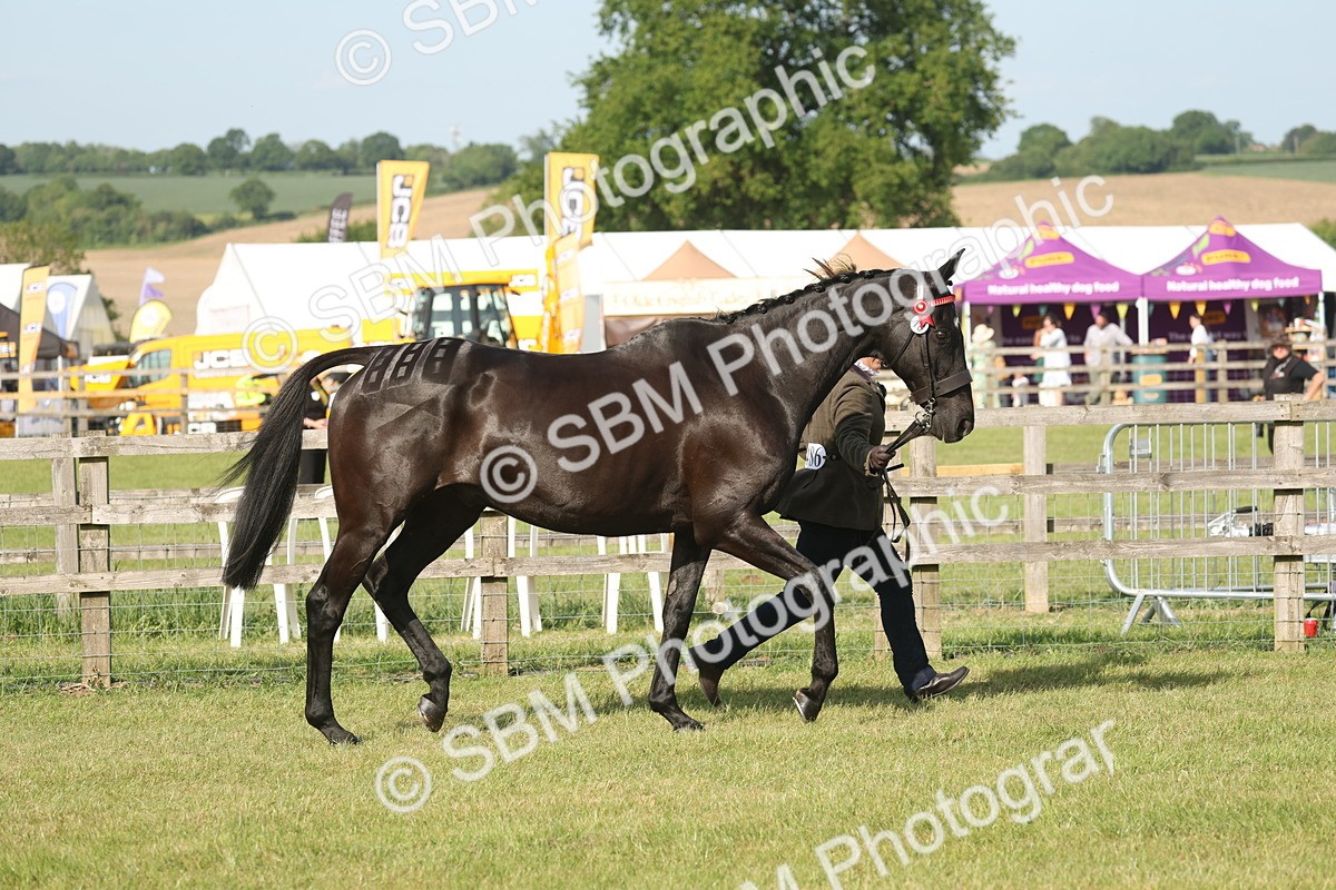 SBM_10317 - Class 33-38 - SSADL RIHS Qualifiers