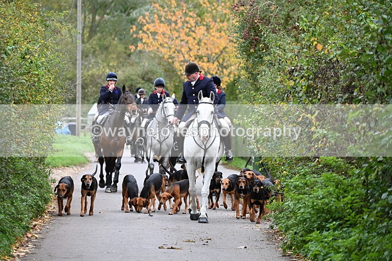 WJ6_8328 - Walk Home..