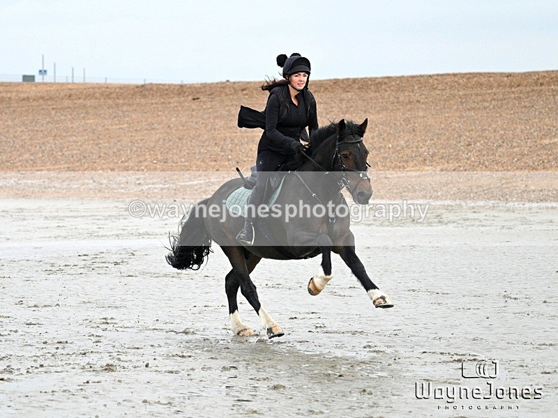 WJ7_9386 - Hayling Island Beach Shoot 22-09-24