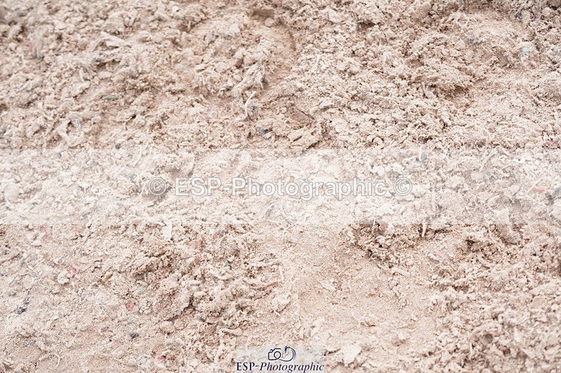 250525-110652-09213 - Cls 32 A&B Snr Brit Nov & 90cm Open