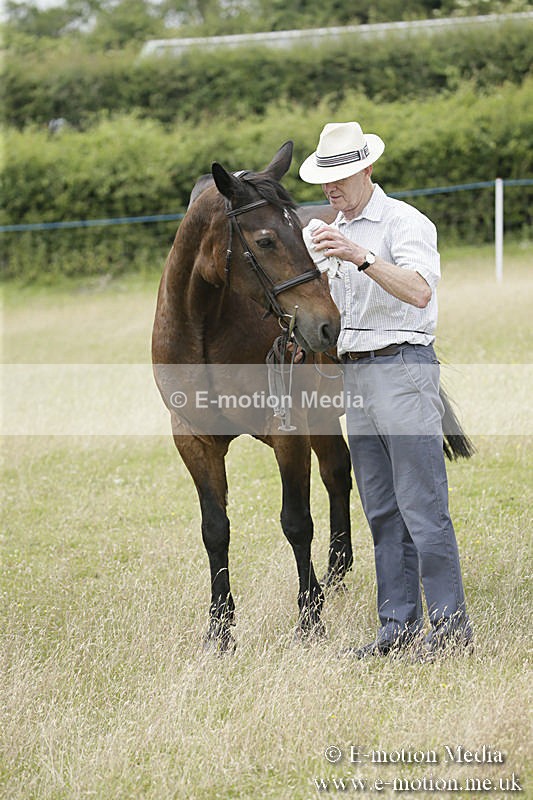 B230619-0566 - Bourne Valley Riding Club Summer Show 23/06/19