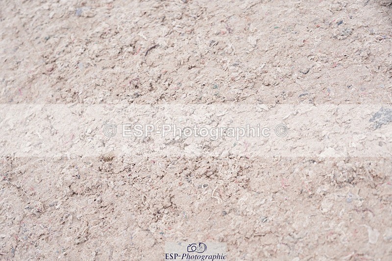 250525-103622-09135 - Cls 32 A&B Snr Brit Nov & 90cm Open