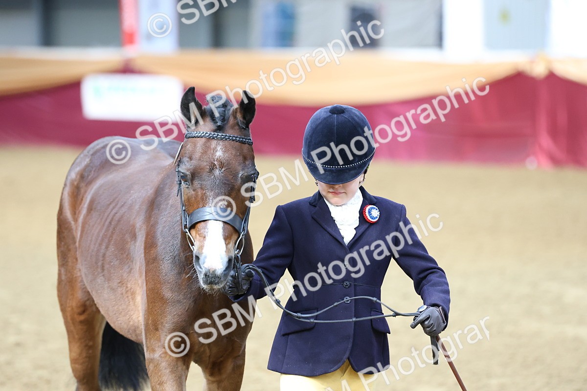 SBM_21880 - Class 901 - Supreme Final - IH  Diamond