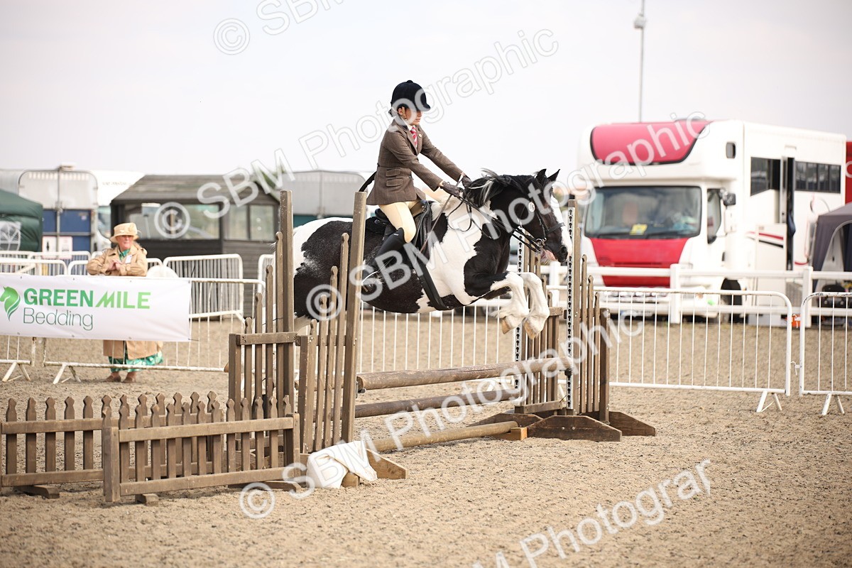 SBM_14982 - Class 408a - Working Veteran 70cm (15-19