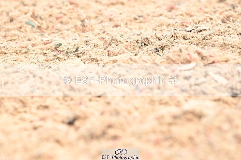 250620-115558-02872 - BD Cls 4 - Novice 5, 11.30am to 12.35pm