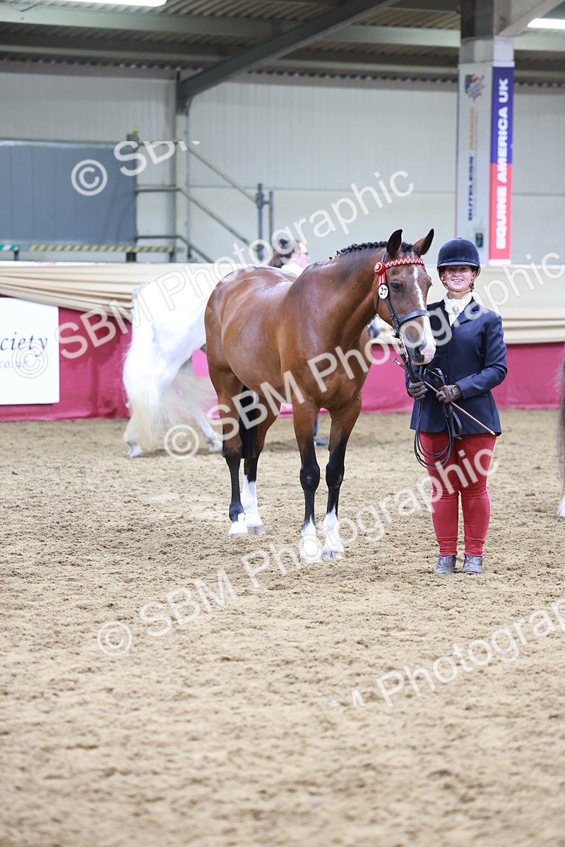 SBM_20134 - Class C - Novalty Champ