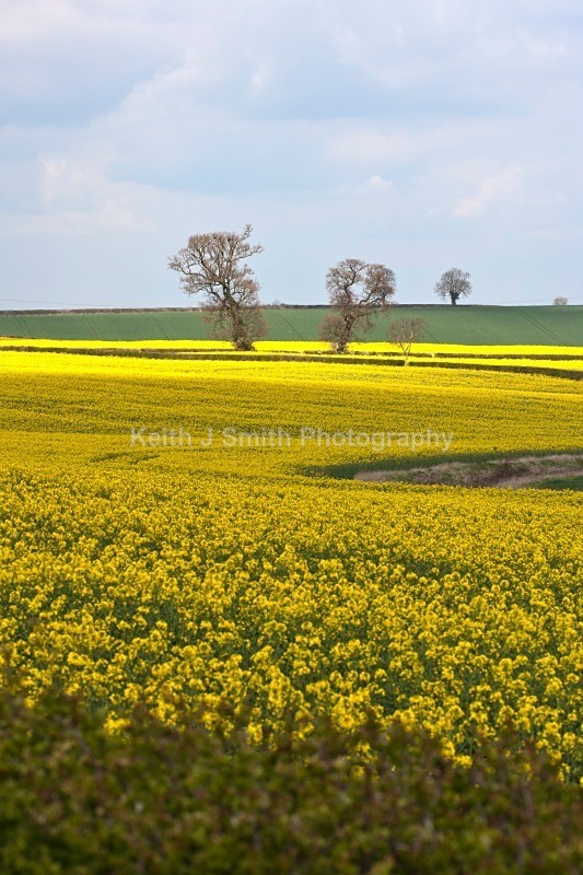 YR6M4830 - United Kindom