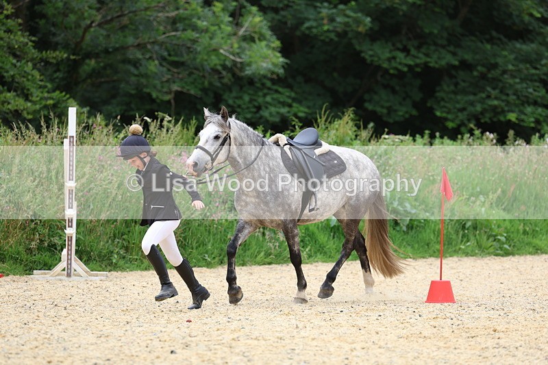 3E7A9595 - Walk trot run