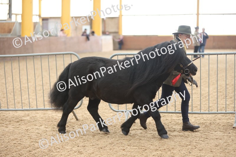 20251109-0126 - Championship