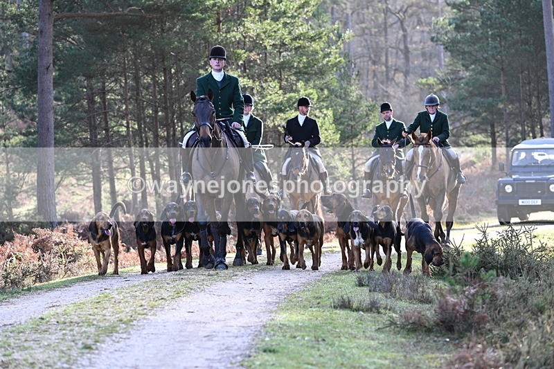 WJ7_7652 - Line 3 (no line 4 or 5)