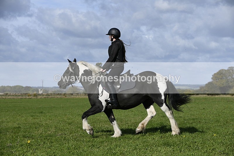 _DSC6656 - Time 11:23 to 12:05