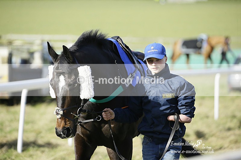 PtP 260222 301 - Kingston Blount Racing Club Point-to-Point 26/02/22