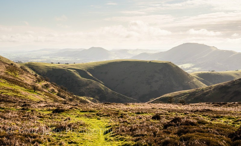 Bodbury Hill - The Long Mynd