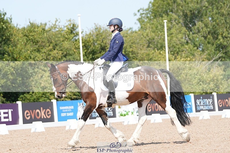 250817-122612-09343 - 050-Mollie.SheathTouch.Wood