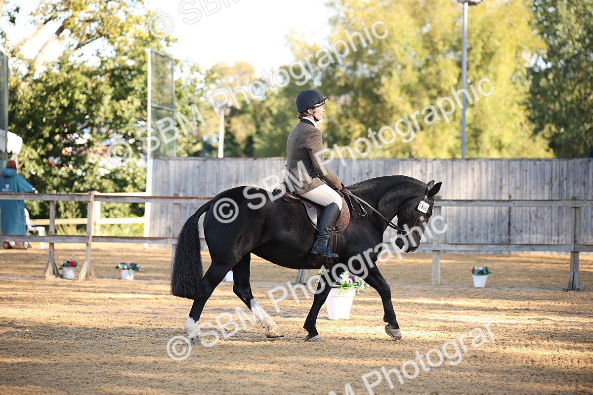 SBM_18312 - D31 - Grand Tour - PYO Open