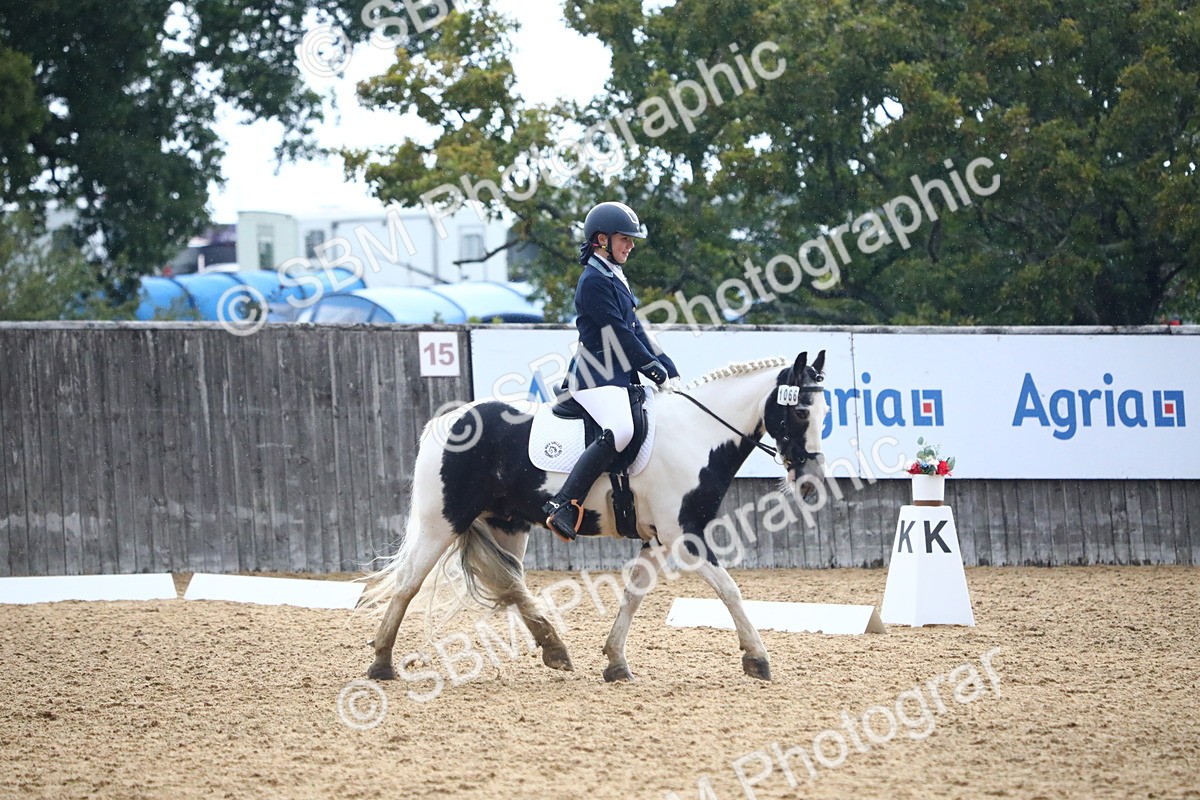 SBM_42785 - D21 - Junior Championship Intro 1