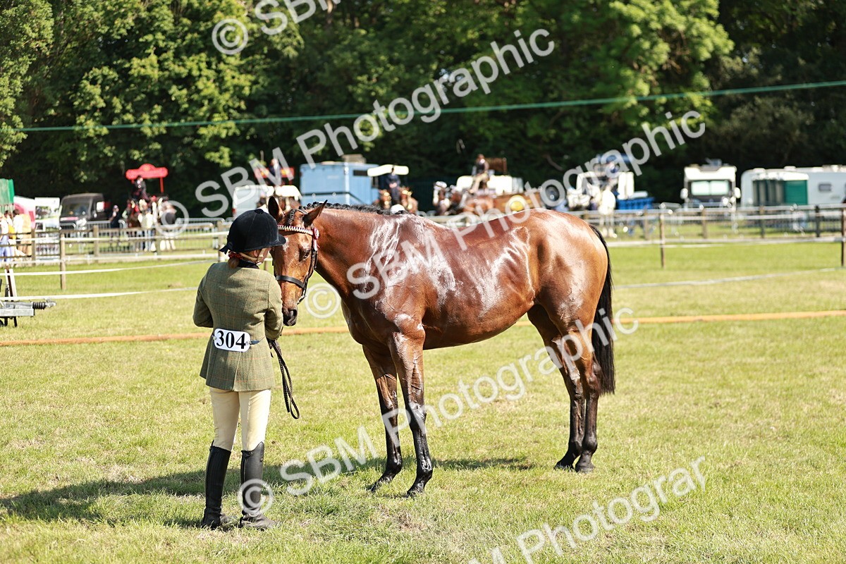 SBM_18910 - Class 114 - RIHS & SEIB Open Working Show Horse