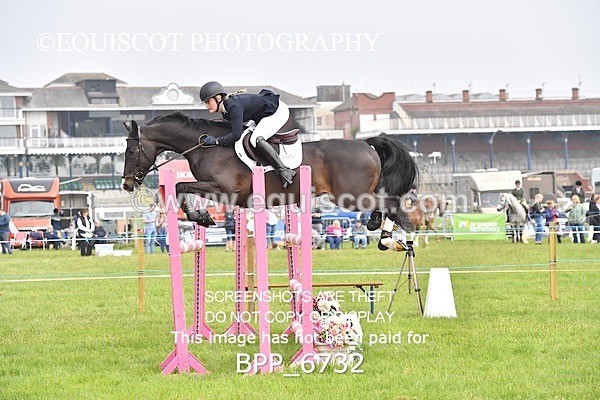 BPP_6732 - CLASS 2 RHS Classic Champ Qual (1.20m)