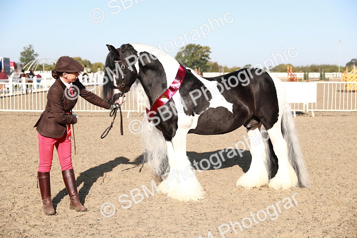 SBM_00089 - Class 40 Best Turned Out IH