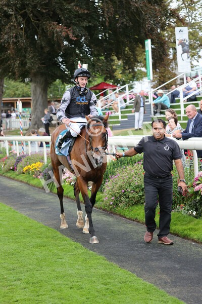yr04092022r2-43 - Race 2 2.20pm John and Judith Marshall Memorial Stakes