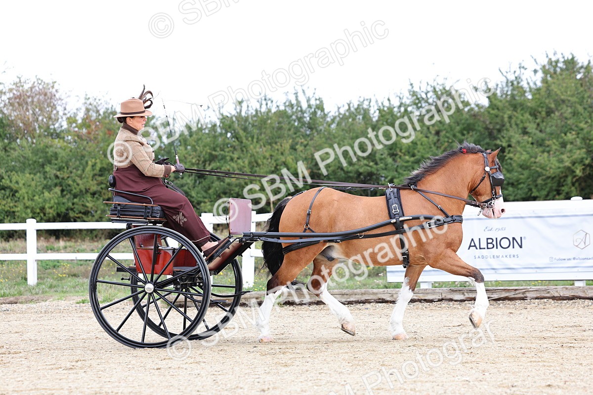 SBM_000278 - Class 2 - Exercise Vehicle 13.2hh & Under